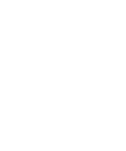 Primastone-Testimonial-1m